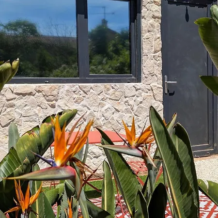 Nusa'mor Petite Maison Romantique Baignoire Balneo 2 Places * Hyeres